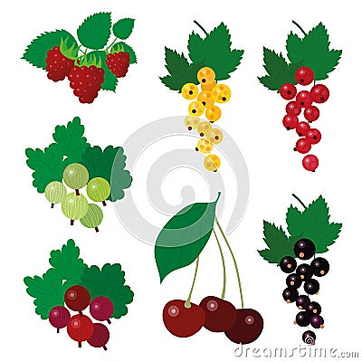 Set of colourful simple vector garden berries Vector Illustration