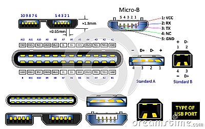 Set of computer connectors or usb universal connector symbols or various usb plug connector mini micro lightning type concept Vector Illustration