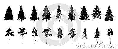 Set of conifer and fir tree silhouettes, black shapes on white background Cartoon Illustration