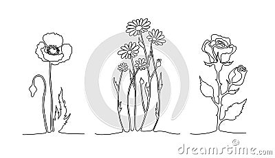 Set of continuous line flowers. Poppy, chamomile, rose. One line drawing concept. Vector Illustration