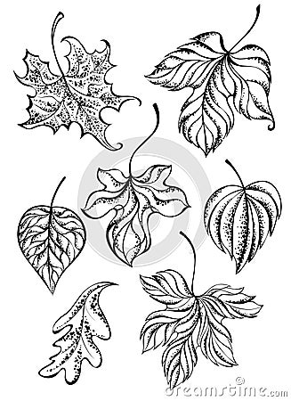 Set of contour leaves Vector Illustration
