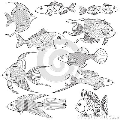 Set of contour silhouettes of fish. Vector illustration Vector Illustration