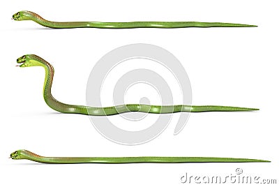 Set of crawling green cobras Stock Photo