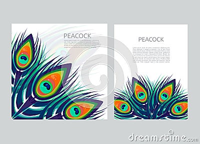 Set of creative multicolored letterhead template with peacock feathers Vector Illustration