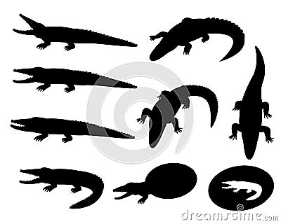 Set of crocodile silhouettes on white, vector Vector Illustration