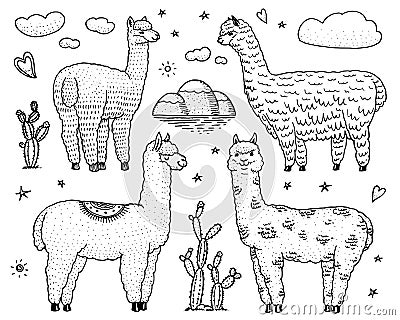 Set of cute Alpaca Llamas or wild guanaco on the background of Cactus and mountain. Funny smiling animals in Peru for Vector Illustration