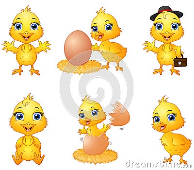 Set of cute cartoon baby chick Vector Illustration