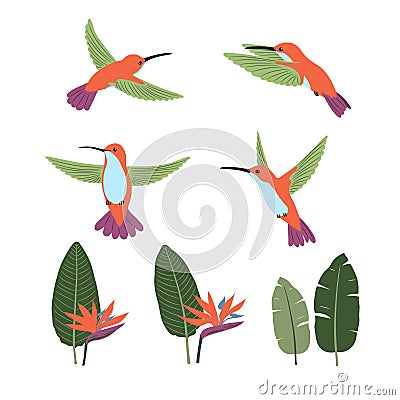 Set of cute cartoon hummingbirds and strelitzia. Vector collection of tropical birds and plants Vector Illustration