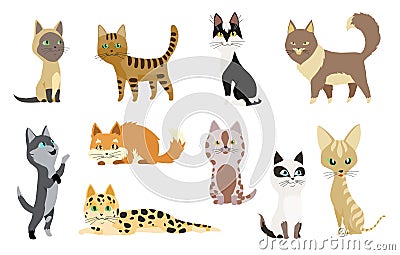 Set of cute cartoon kitties or cats with different colored fur and markings standing sitting or walking vector Vector Illustration