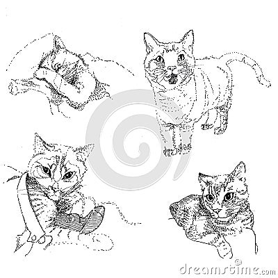 Set of cute cats drawn by a liner Stock Photo