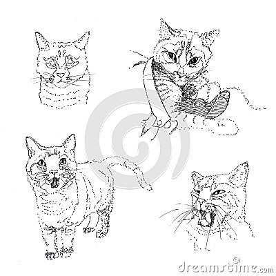 Set of cute cats drawn by a liner Stock Photo