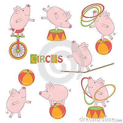 Set of cute circus little pig Vector Illustration