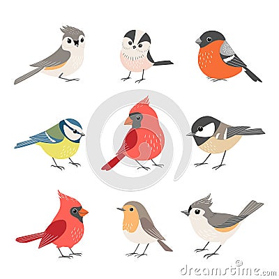 Collection of cute winter birds Vector Illustration