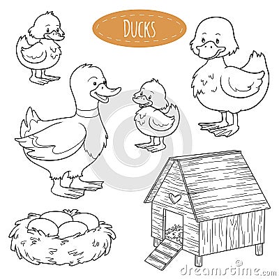 Set of cute farm animals and objects, vector family ducks Vector Illustration