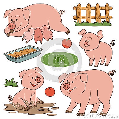 Set of cute farm animals and objects, vector family pigs Vector Illustration