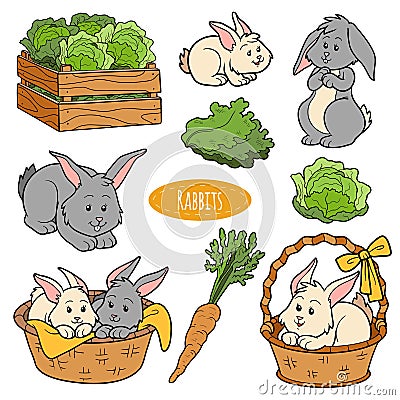 Set of cute farm animals and objects, vector family rabbit Vector Illustration