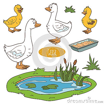 Set of cute farm animals and objects, vector goose family Vector Illustration