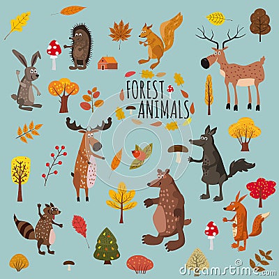 Set of cute forest animals bear, raccoon, squirrel, hare, fox, wolf, hedgehog, moose, deer, autumn leaves trees, trend Vector Illustration