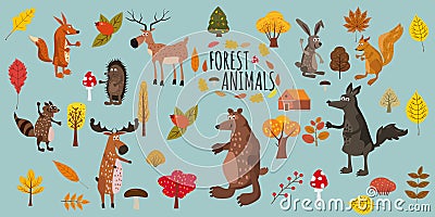 Set of cute forest animals bear, raccoon, squirrel, hare, fox, wolf, hedgehog, moose, deer, autumn leaves trees, trend Vector Illustration