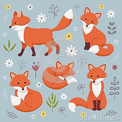 Set of cute foxes. Vector Illustration