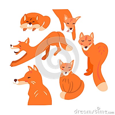 Set cute foxes. Forest animal. Logo for design. Vector illustration isolated on white background. Vector Illustration
