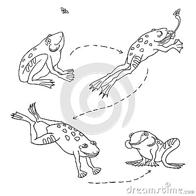 Set of cute frog. Hunting jumping frog. Frog catches and eats the fly 4 stages. Vector Illustration