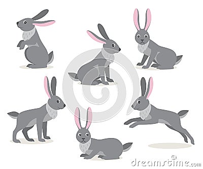 Set of cute gray hare in different pose on white background Vector Illustration