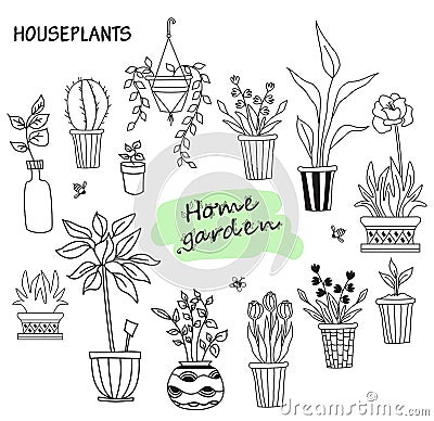 Set of cute indoor plants in pots. House of flowers and human hobbies. Botanical set - many flowerpots - cacti, tulips Vector Illustration
