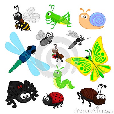Set of cute insects bee grasshopper snail dragonfly fly ant mosquito butterfly caterpillar worm spider ladybug cockroach Vector Illustration