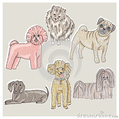 Set of cute little breed dogs Vector Illustration