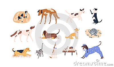 Set of cute pets. Adorable cats, dogs of different breeds. Collection of funny feline and canine animals. Colored flat Vector Illustration