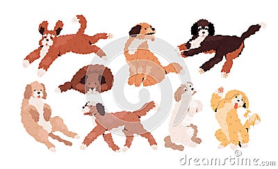 Set of cute playful Goldendoodles and Labradoodles. Golden, tan and white curly-haired dogs running, jumping, sitting Vector Illustration