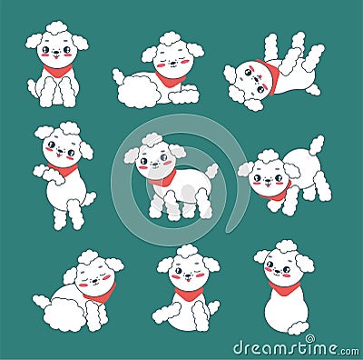 Set of cute poodles in different poses. Vector Illustration