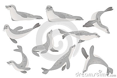 Set of cute seal cartoon animal design flat vector illustration isolated on white background Vector Illustration