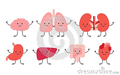 Set cute smiling happy human healthy strong organs characters. Brain, lungs, kidneys, stomach, liver, gut intestine and Vector Illustration