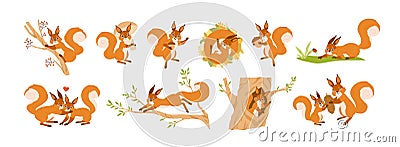 Set of cute squirrel character vector flat illustration. Collection of funny wild animal parent, child and couple Vector Illustration