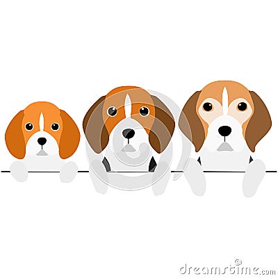 Three generations of beagles border Vector Illustration