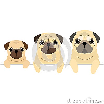 Three generations of Pugs border Vector Illustration