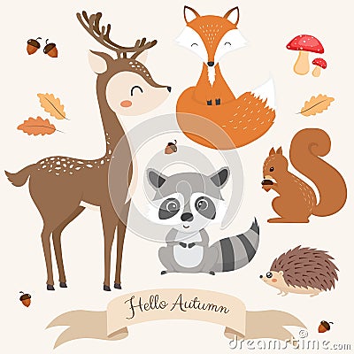 Set of cute woodland animals Vector Illustration