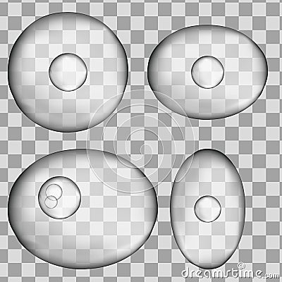 Set of 3d Isolated human grey cell. Realistic vector illustration. Template for medicine and biology Vector Illustration