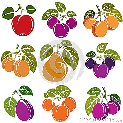 Set of 3d vector ripe fruits and berries with green leaves, fruity trees design elements isolated on white background. Vector Illustration