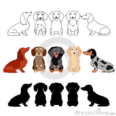 Set of Dachshund group Vector Illustration