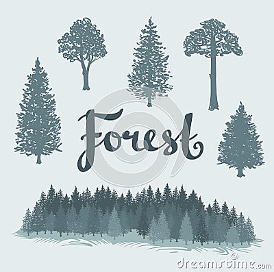 Set of the deciduous and the coniferous isolated hand drawn trees. Vector Illustration