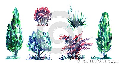 Set of decorative elements. Garden thermophilic flowering plants, flowers and shrubs. Multi-colored crowns Green, purple, red. Cartoon Illustration