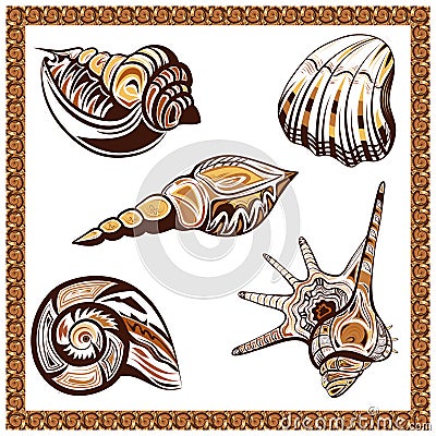 Set decorative ornamental ethnic of seashells on a Vector Illustration