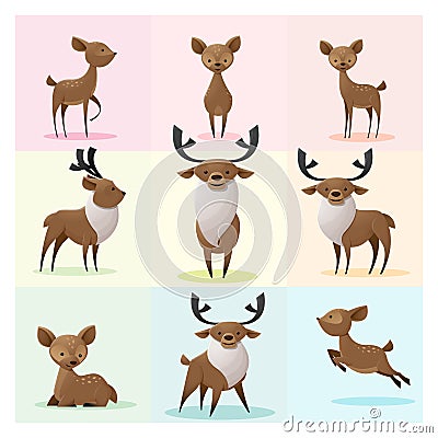 Set of Deer family Vector Illustration