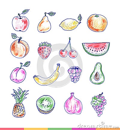 Set of delicious hand drawn fruits Vector Illustration