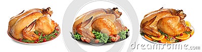 Set of delicious roasted turkey on plates Stock Photo