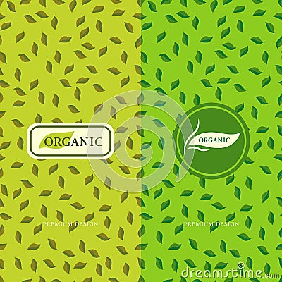 Set of design elements, graceful logo template. Seamless pattern background for organic, healthy, food packaging. Green labels and Vector Illustration