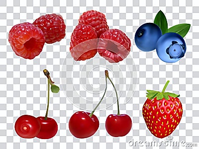 Set of different berries at transparent background realistic vector illustration. Raspberry strawberry cherry blueberry. Vector Illustration